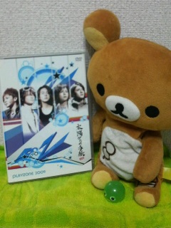 PLAYZONE DVD