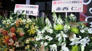 こんなとこで発見!