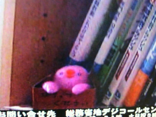 ああっ、いた!