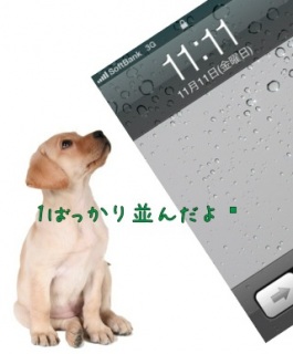 11/11�̃|�b�L�[�Ȃ�