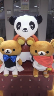 ぱんだー