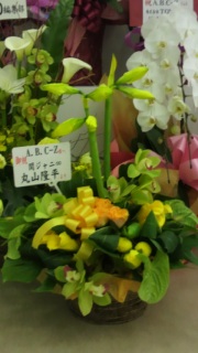 �ۂ���񂩂�I