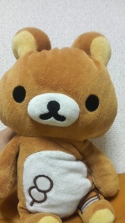 明日から・・・